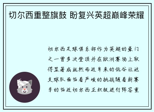 切尔西重整旗鼓 盼复兴英超巅峰荣耀