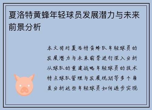 夏洛特黄蜂年轻球员发展潜力与未来前景分析